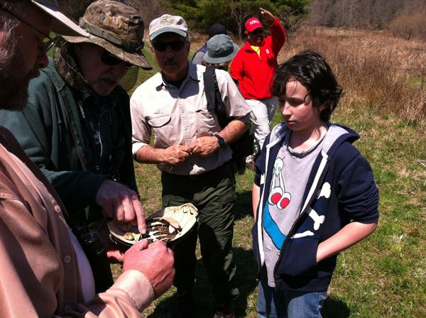 Upper Delaware BioBlitz